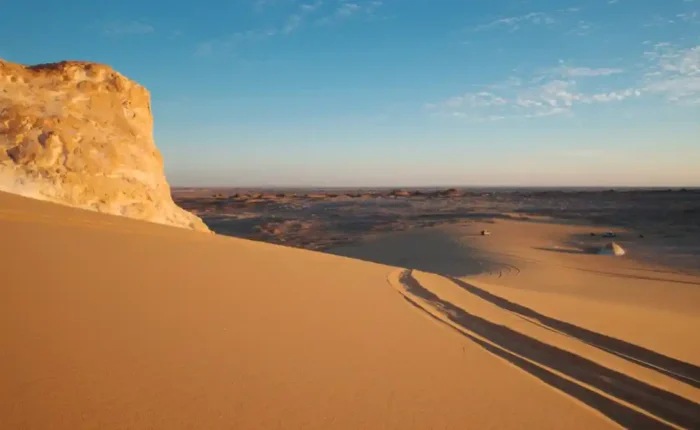 White Desert and Bahariya Oasis tour camping under the stars