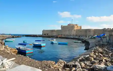 Alexandria Day Tour