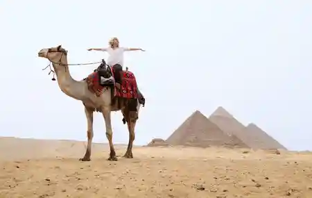 Camel Ride around the Pyramids