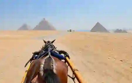 4 Nights 5 Days Cairo & Sharm El Sheikh